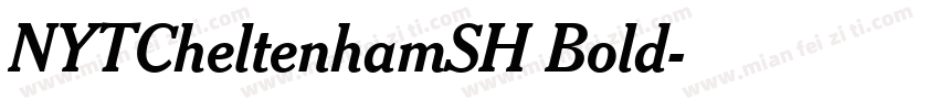NYTCheltenhamSH Bold字体转换